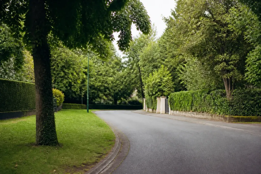 Rues calmes avec maisons residentielles parcs et arbres verts