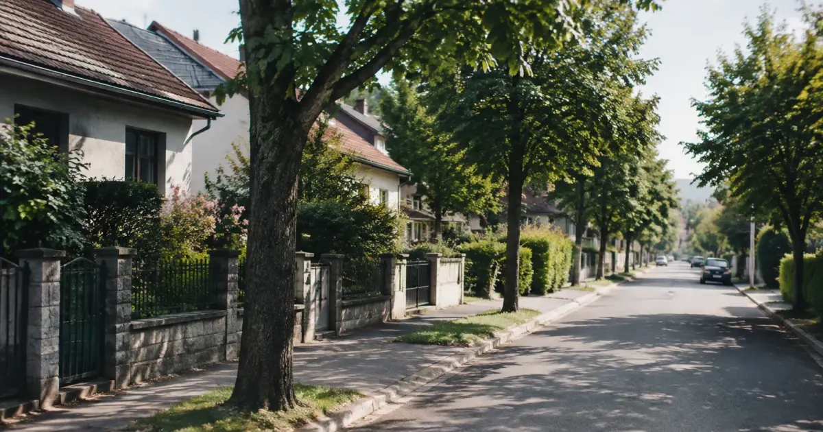 Rue residentielle bordee de maisons individuelles et d arbres